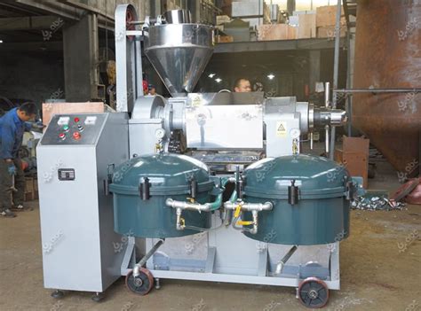 Best Palm Kernel Expeller Machines For Sales