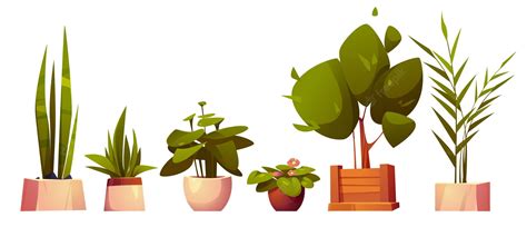 Cartoon Plants Wallpapers - Wallpaper Cave