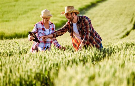 Nuevo Impulsa La Digitalizaci N Del Sector Agrario A Trav S Del