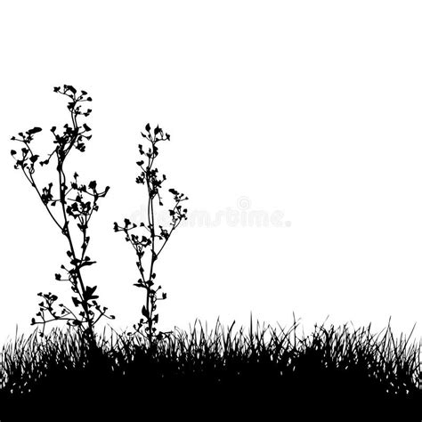 Grass & Plants Silhouette Background Stock Vector - Illustration of ...