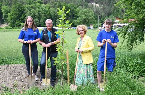 Artenreiche Mischwälder Start des Projekts Wald der Zukunft an der