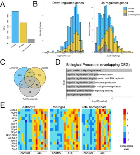 Differential Expression Comparison By Cell Type A Number Of