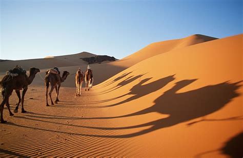 الاماكن السياحية في البيئة الصحراوية المرسال