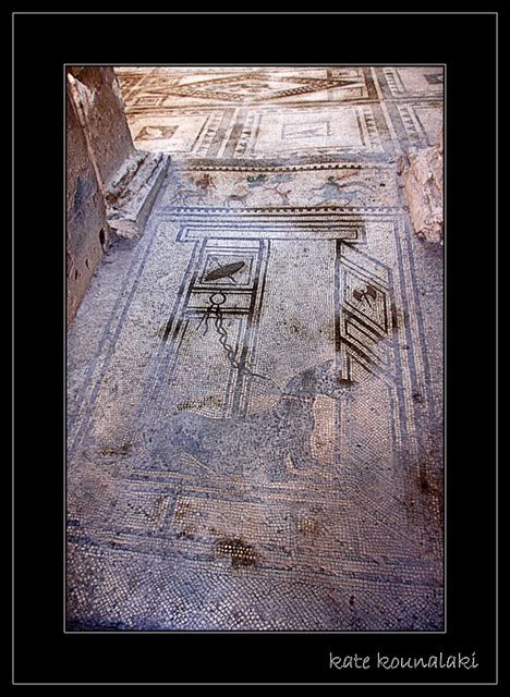 Pompeii Mosaic House Of Paquius Proculus Another Of The Gu Flickr