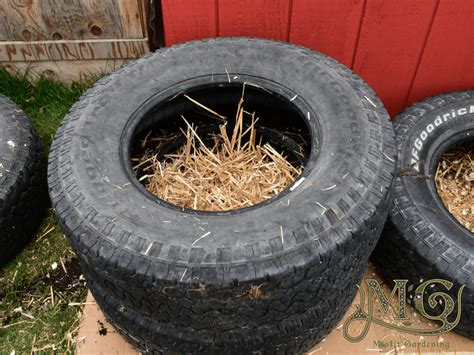 How To Grow Potatoes In Tires Misfit Gardening