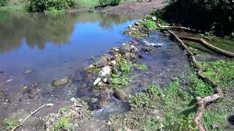 Parco Di Veio Valle Del Sorbo La Mola Di Formello Il Santuario Della