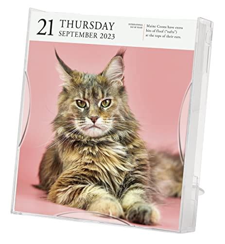 Cat Page A Day Gallery Calendar A Delightful Gallery Of Cats For