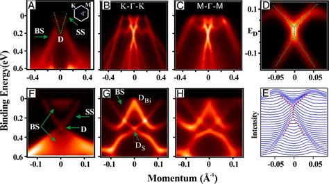 Quasiparticle Dynamics In Reshaped Helical Dirac Cone Of Topological