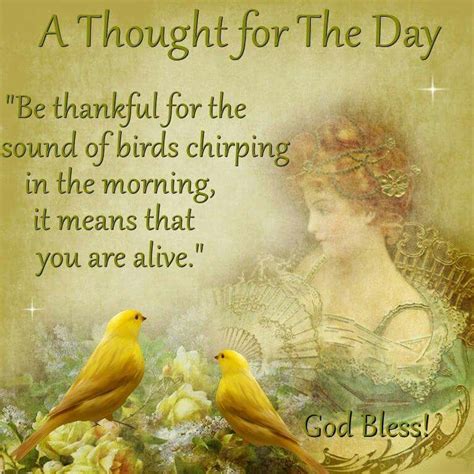 Be Thankful For The Sounds Of Birds Chirping In The Morning It Means