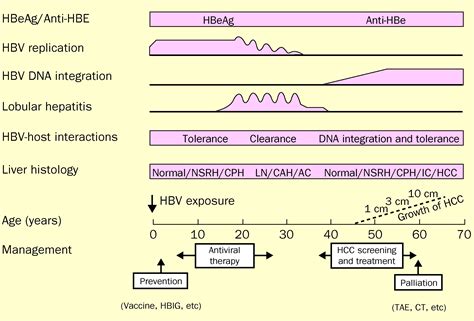 Global Control Of Hepatitis B Virus Infection The Lancet Infectious