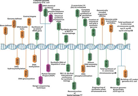 Timeline Of Synthetic Genomics Milestones From The 1900s To 2017 Green