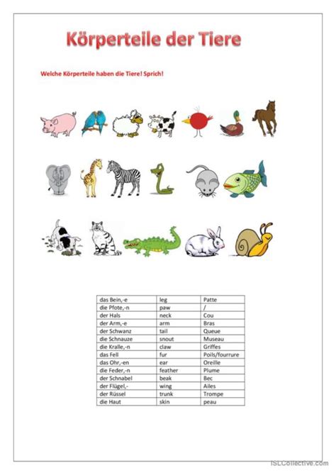 703 Tiere Deutsch DAF Arbeitsblätter pdf doc