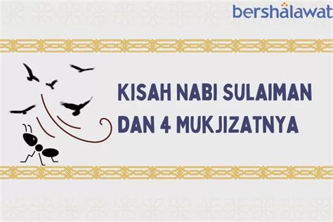 Kisah Nabi Sulaiman Dan 4 Mukjizatnya Ahli Berbicara Dengan Hewan