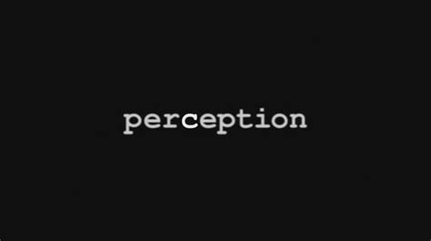 Perception Pictures Tvsa