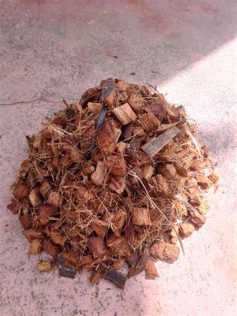 Ceylon Organic Dry Coconut Husk Fiber Chips Coco Coir Chips Anthurium