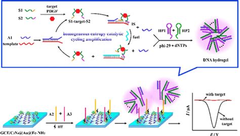 均相熵催化dna水凝胶作为强信号阻滞剂，用于血小板衍生生长因子的高灵敏电化学检测analytical Chemistry X Mol