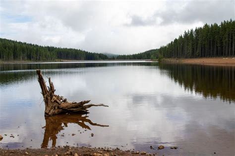 Campsites Added At Kingsley Reservoir Environment