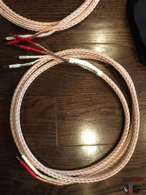 Kimber Kable 12TC Ascent Speaker Cables Photo 4470985 US Audio Mart