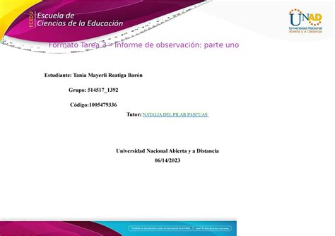 Formato Tarea Informe De Observaci N Parte Uno Comprimido