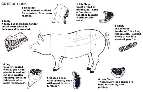 Parts Of A Pig Enjoy Xo