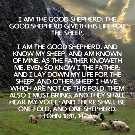 John 10 11 14 16 I Am The Good Shepherd The Good Shepherd Giveth His