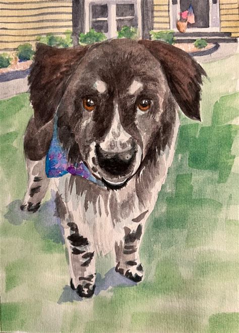 Pet Portraits Joyce Galehouse S Art