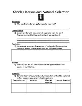 Charles Darwin And Natural Selection Worksheet By King S Science