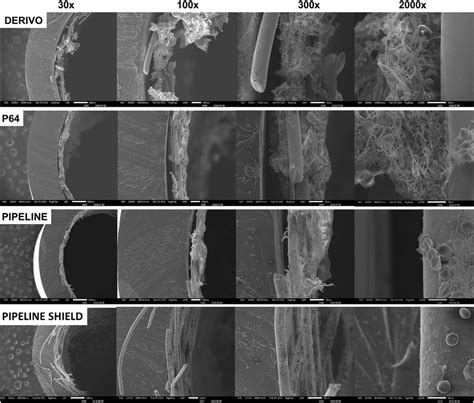 High Resolution Scanning Electron Microscopy SEM Representative