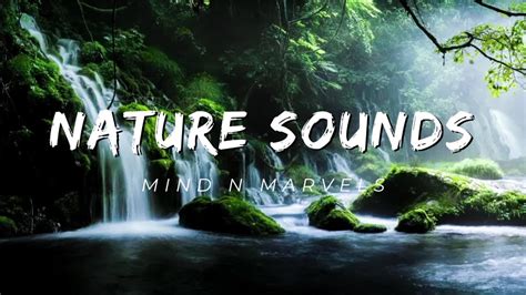 Serene Nature Sounds For Meditation And Relaxation Youtube