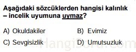 6 Sınıf Ses Bilgisi Testi Çöz Test Çöz