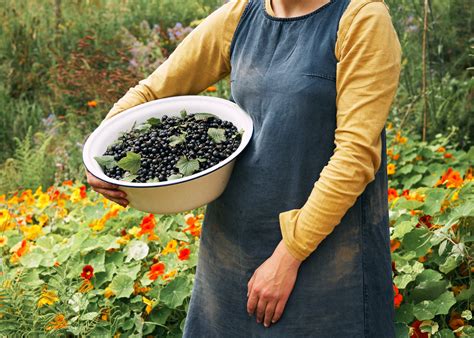 Locally Sourced Food Stories Our Sourcing Ethos Naked Farmer Naked Farmer