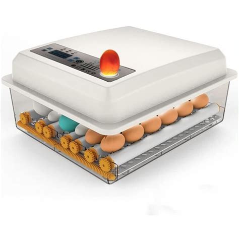 Couveuse Oeuf Automatique Professionnel 30 Oeufs Mini Incubateurs