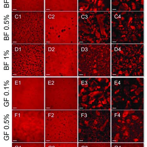 CLSM Assessment Of The Impact Of Flaxseed Gums On The In Vitro