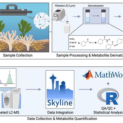 Experimental Design For Metabolomics Analysis Of Coral Reef