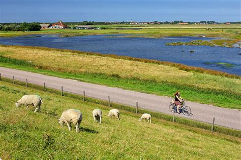 Texel Island | Netherlands Vacation Information