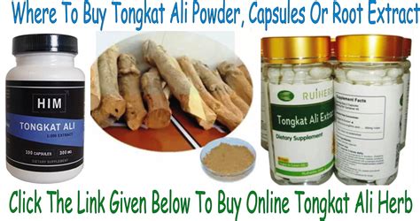 Tongkat Ali Benefits, Tongkat Ali Tea, Tongkat Ali Herb Side Effects ...