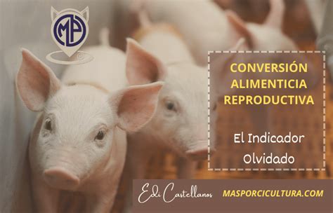 Conversión Alimenticia Reproductiva “el Indicador Olvidado