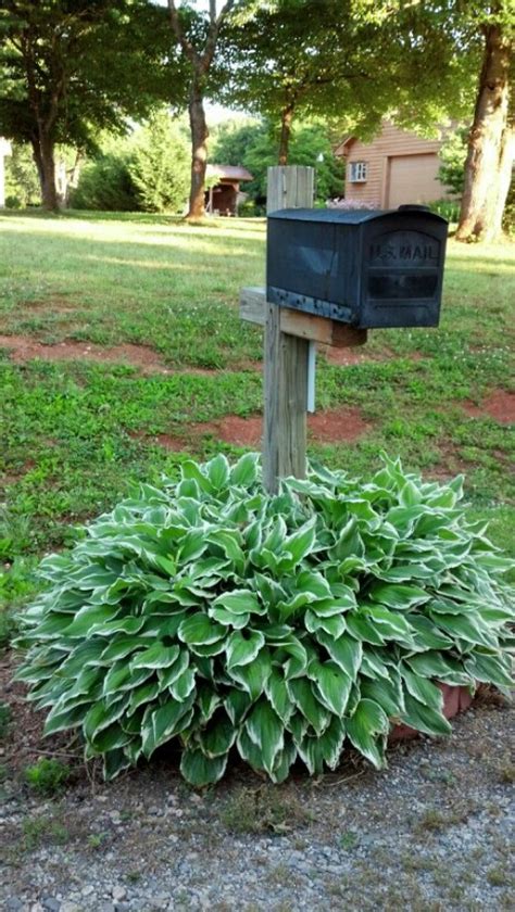 Mailbox Makeovers For Instant Curb Appeal