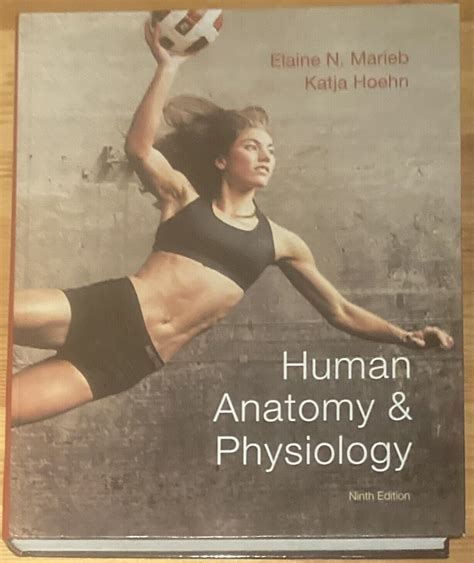 Human Anatomy And Physiology 9th Ninth Edition Elaine Marieb Katja Hoehn 9780321743268 Ebay