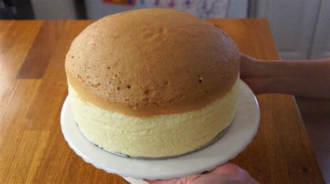 The Glass Character Diy Jiggly Japanese Cotton Cheesecake Recipe You Made What