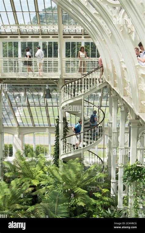 Inside The Temperate House Kew Gardens England Stock Photo Alamy