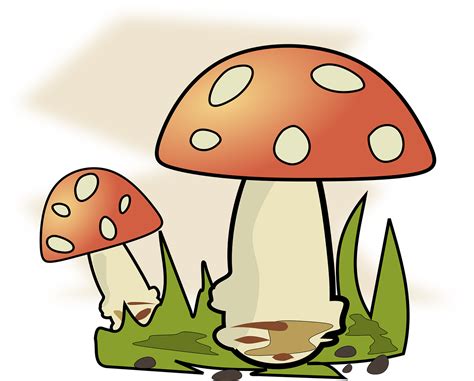 Download Mushrooms, Cartoon Mushrooms, Fungi. Royalty-Free Stock Illustration Image - Pixabay