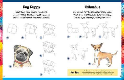 Learn To Draw How To Draw Dogs And Puppies Step By Step Instructions