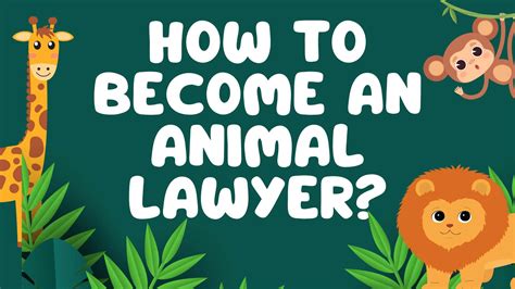 How To Become An Animal Lawyer Lawext