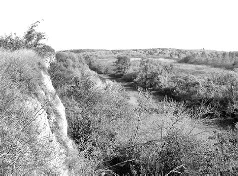 Bluff Of The Loess Plateau Above The Tamiš River Cut Off Meander