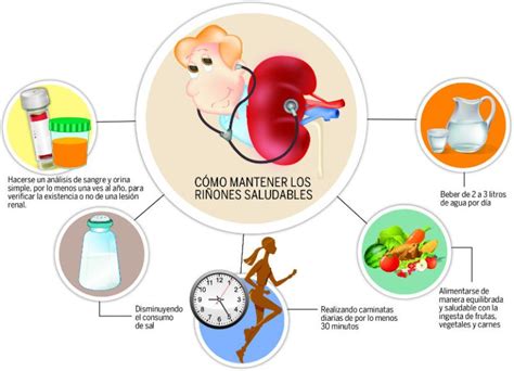 Cómo cuidar tus riñones Limpiar riñones Riñones Infusion de perejil