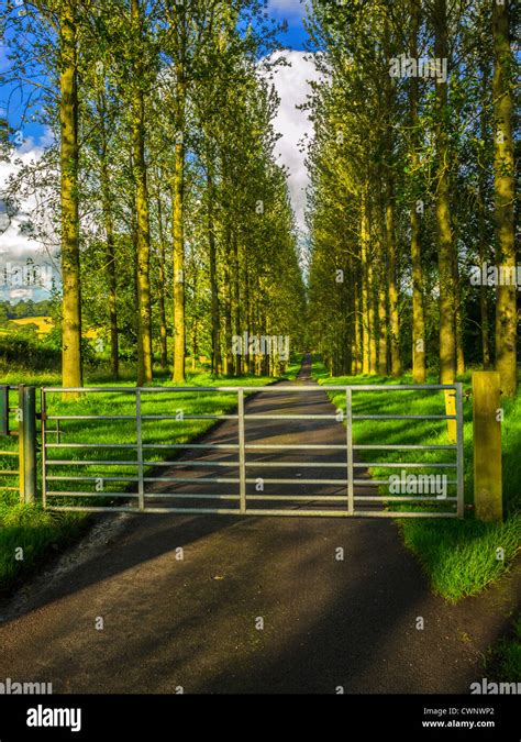 A Tarmac Country Lane Or Road In A Rural Environment In The Countryside