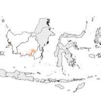 Illustration chart of action plan progress of Badan Restorasi Gambut,... | Download Scientific ...