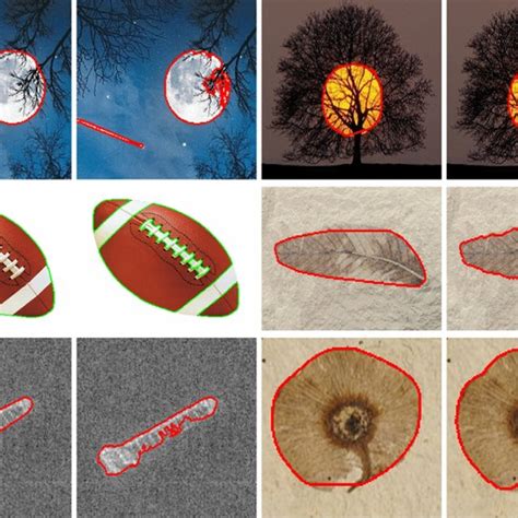 Segmentation Results For Single Object Results By The Model With