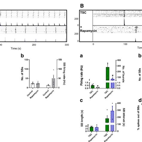 Effects Of Chronic Treatment With Rapamycin On TSC2 Neuronal Activity